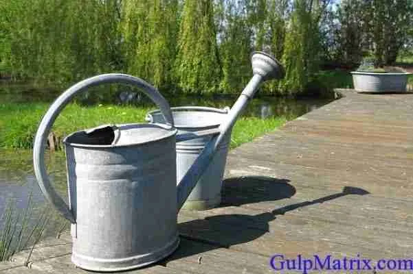 zinc watering cans