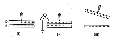 Electrophorus