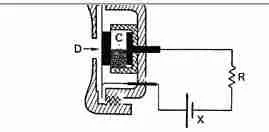 Electrophorus 