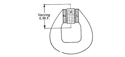 Electrophorus