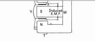 Electrophorus