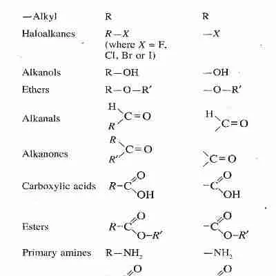 Homologous series 