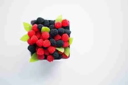 berries