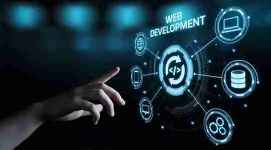 Web development, Web developer