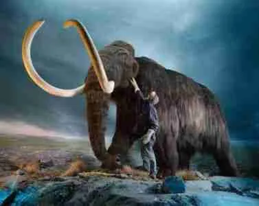 Woolly Mammoth