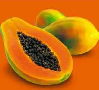 Papaya