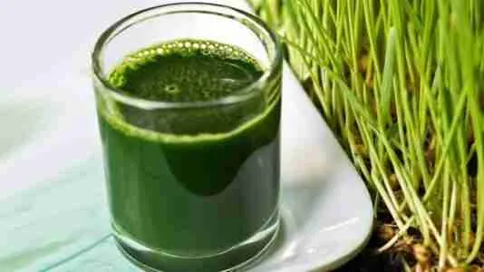 Wheatgrass juice