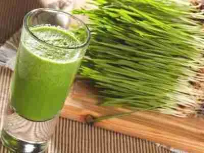 Wheatgrass juice