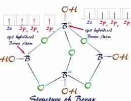 structure of borax