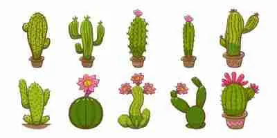 cactus-plant-collection-vector-400x200.jpg