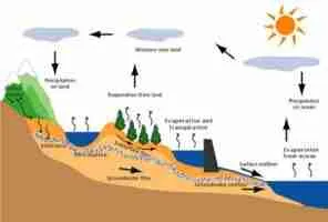 Water Cycle 