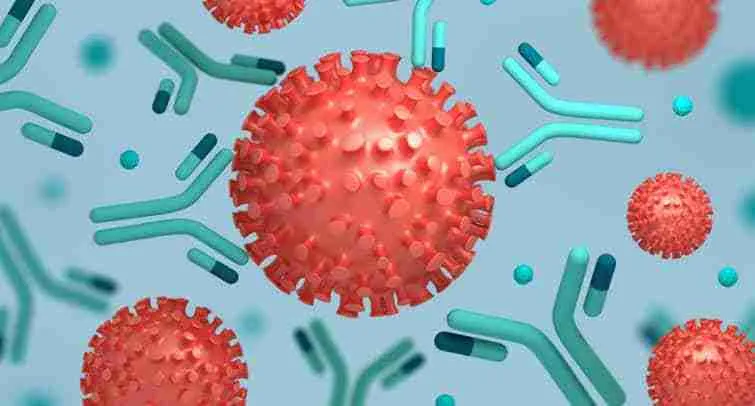 Monoclonal antibodies 