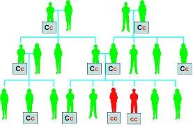 Mendelian inheritance 