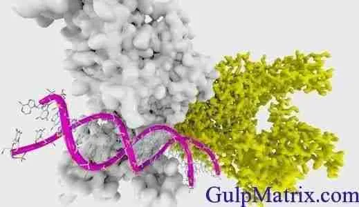 9762765983_26a72a44fd_b_enzyme