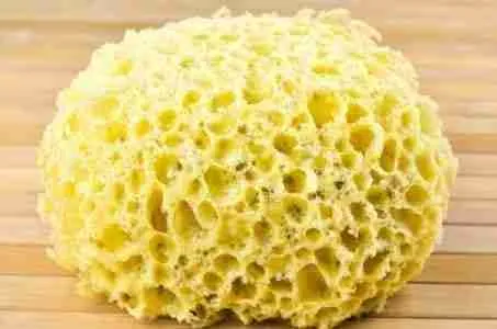 sponges