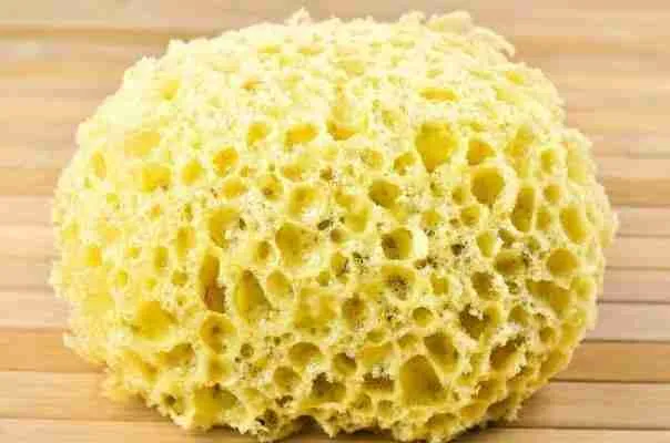 sponges