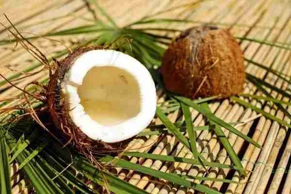 Coconut oil