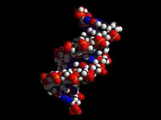 DNA manipulation