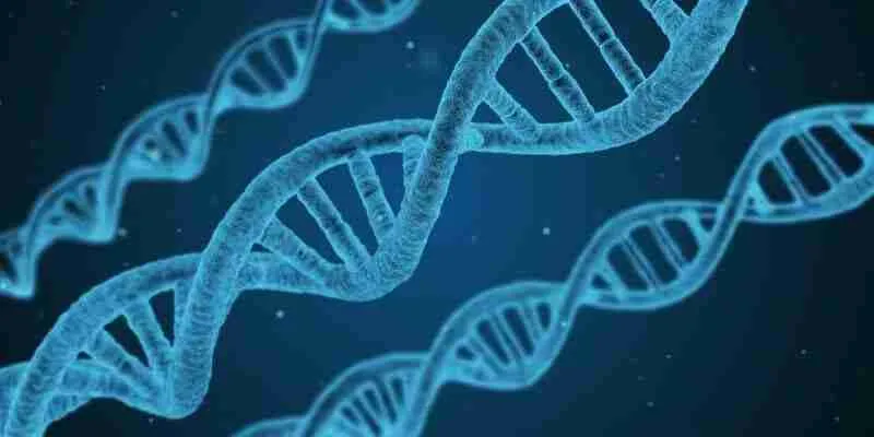 Structure of Nucleic Acids