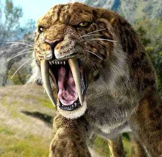 Saber-toothed tiger