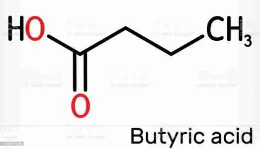 Butyric Acid