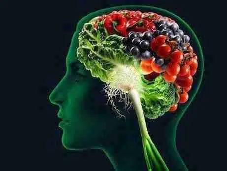 How the food_we eat affect our brain