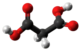 1200px-Malonic_acid_molecule_ball_from_xtal