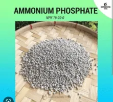 Ammonium phosphate