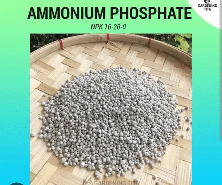 Ammonium phosphate