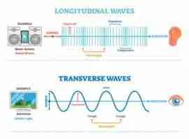 Transverse waves