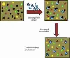 Microbial bioremediation